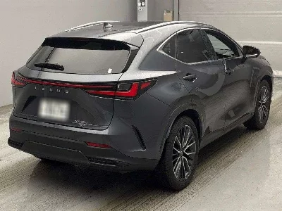 Lexus NX250