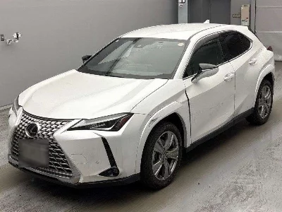 Lexus UX250h