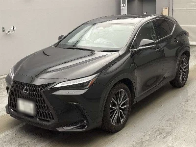Lexus NX250