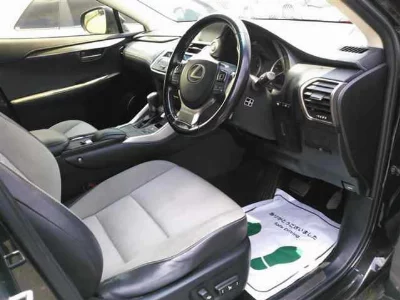 Lexus NX300
