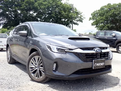 Subaru LEVORG LAYBAC