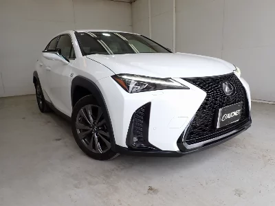 Lexus UX250h