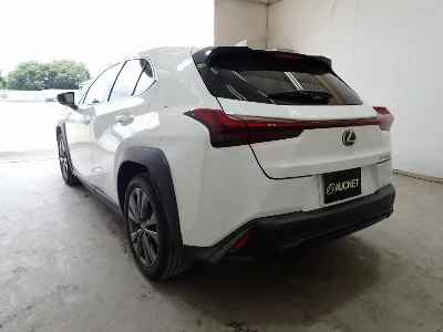 Lexus UX250h