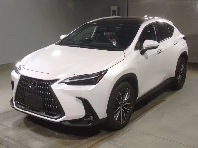 Lexus NX250