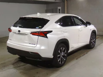 Lexus NX300h
