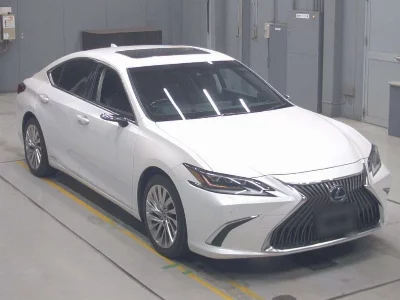 Lexus ES300h