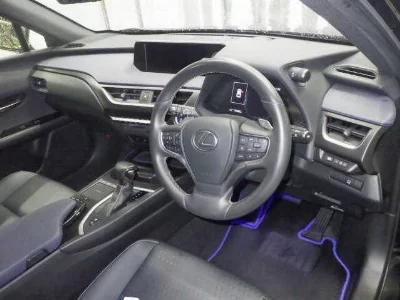 Lexus UX250h