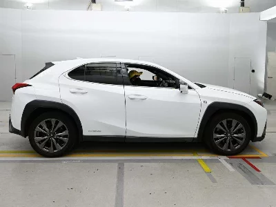 Lexus UX250h