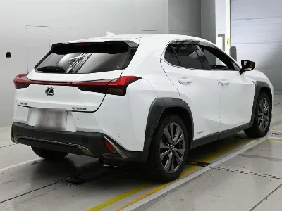 Lexus UX250h