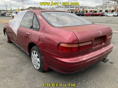 HONDA ASCOT INOVA