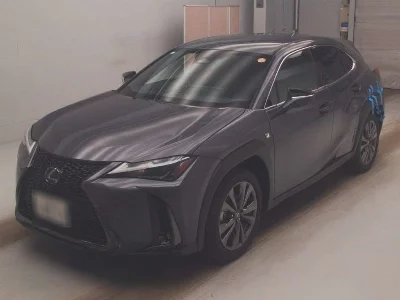 Lexus UX300h