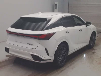 Lexus RX500h