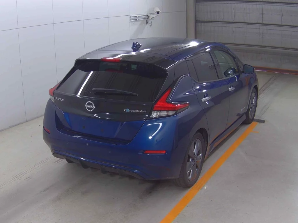 Nissan Leaf  с аукциона в Японии
