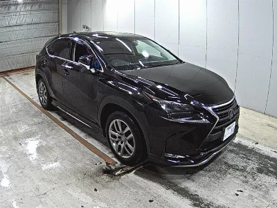 Lexus NX300h