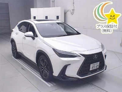 Lexus NX450h+