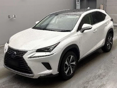 Lexus NX300h