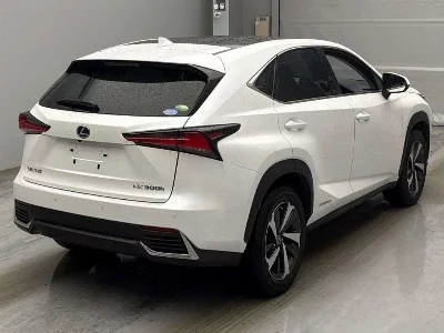 Lexus NX300h