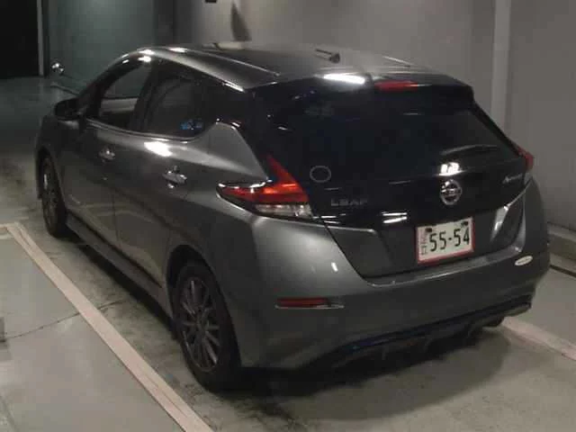 Nissan Leaf  с аукциона в Японии