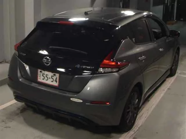 Nissan Leaf  с аукциона в Японии