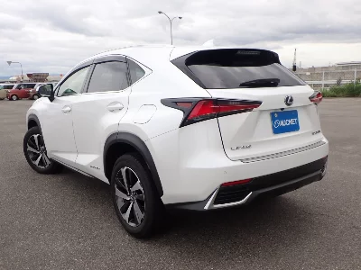 Lexus NX300h