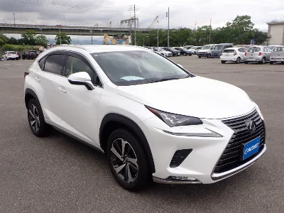 Lexus NX300h