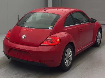 VOLKSWAGEN THE BEETLE