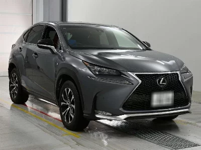 Lexus NX300