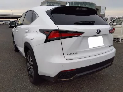 Lexus NX300h