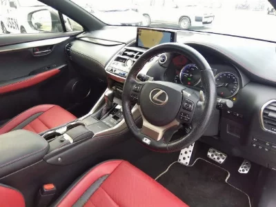 Lexus NX300h