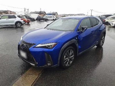 Lexus UX250h
