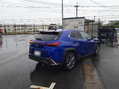 Lexus UX250h