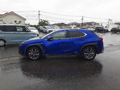 Lexus UX250h