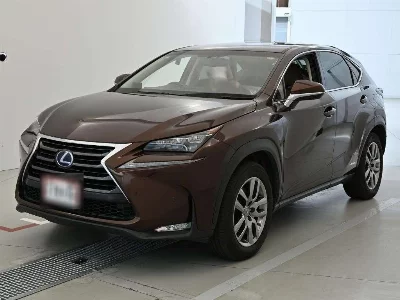 Lexus NX300h