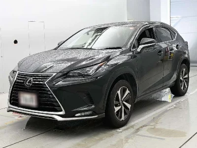 Lexus NX300