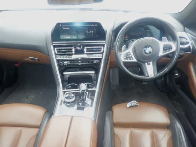 BMW 8-Series