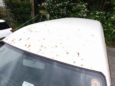 Toyota LiteAce