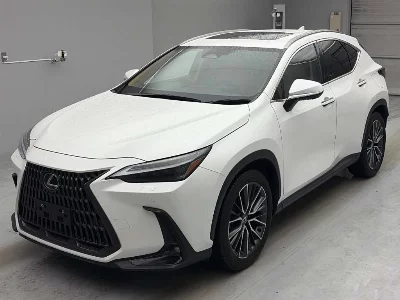 Lexus NX250