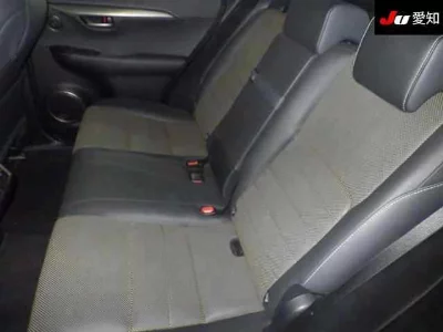 Lexus NX300