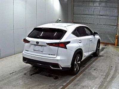 Lexus NX300h