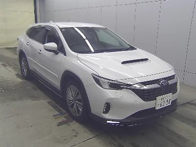 SUBARU LEVORG LAYBAC