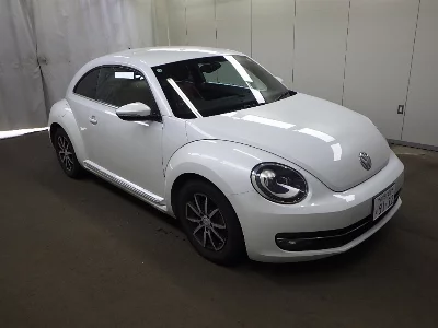 VOLKSWAGEN THE BEETLE