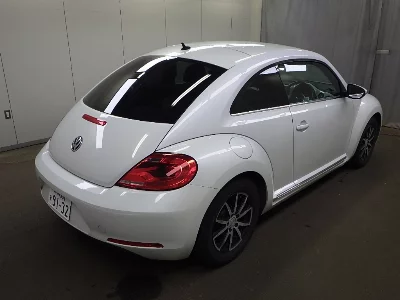 VOLKSWAGEN THE BEETLE