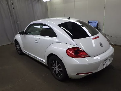 VOLKSWAGEN THE BEETLE