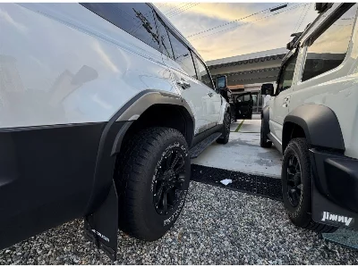 TOYOTA LAND CRUISER 250