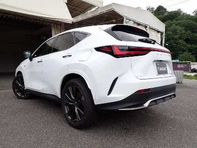Lexus NX450h+