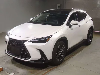 Lexus NX250