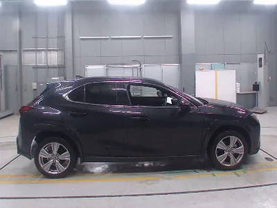 Lexus UX250h