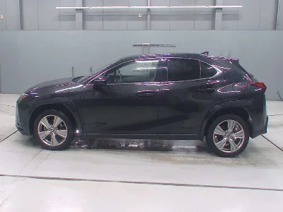 Lexus UX250h