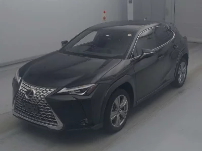 Lexus UX250h