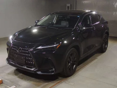 Lexus NX250
